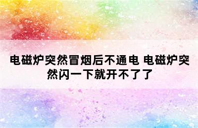 电磁炉突然冒烟后不通电 电磁炉突然闪一下就开不了了